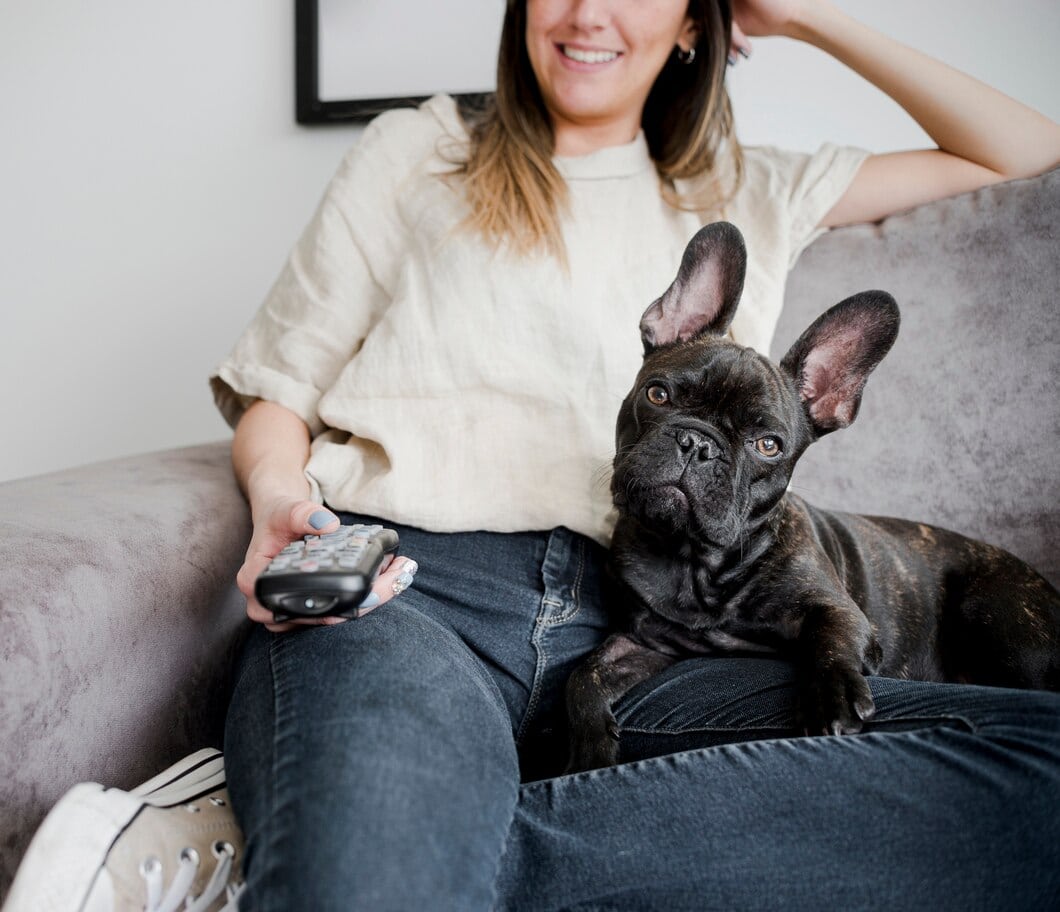 The factors influencing the cost of your new French bulldog puppy
